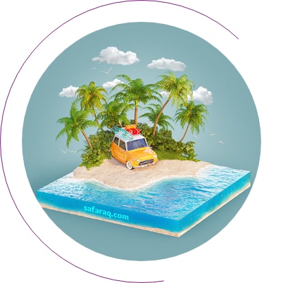 program image