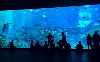 Trip Picture